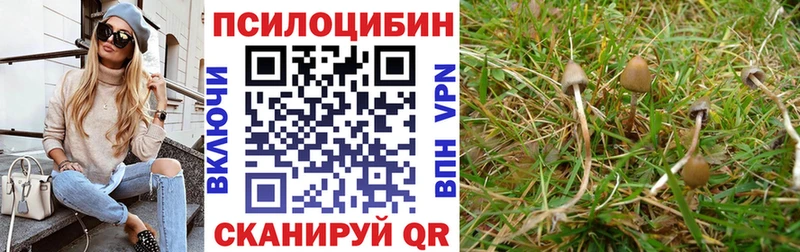 Псилоцибиновые грибы ЛСД  купить наркотики сайты  Ноябрьск 